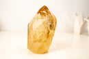 Genuine Golden Honey Citrine Crystal Point - E2D Crystals & Minerals