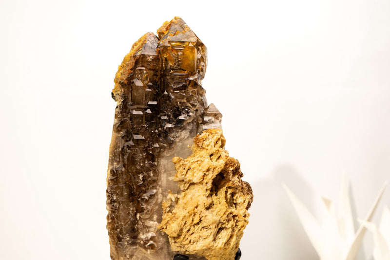 Rare Elestial Alligator Quartz Cluster on Feldspar & Quartz Matrix - E2D Crystals & Minerals