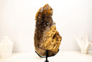Rare Elestial Alligator Quartz Cluster on Feldspar & Quartz Matrix - E2D Crystals & Minerals