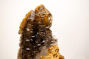 Rare Elestial Alligator Quartz Cluster on Feldspar & Quartz Matrix - E2D Crystals & Minerals