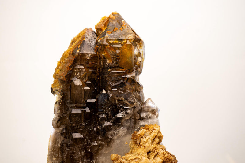 Rare Elestial Alligator Quartz Cluster on Feldspar & Quartz Matrix - E2D Crystals & Minerals