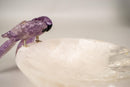 Hand - Carved Couple of Amethyst Crystal Parrots on a Clear Quartz Bowl - E2D Crystals & Minerals