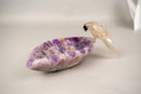 Hand - Carved Crystal Parrot on a Chevron Amethyst Crystal Bowl - E2D Crystals & Minerals