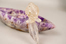 Hand - Carved Crystal Parrot on a Chevron Amethyst Crystal Bowl - E2D Crystals & Minerals