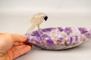 Hand - Carved Crystal Parrot on a Chevron Amethyst Crystal Bowl - E2D Crystals & Minerals