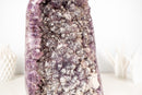 Rare Amethyst Cluster with Micro - Crystallized Calcite – Large Cut - Base Specimen - E2D Crystals & Minerals