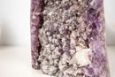 Rare Amethyst Cluster with Micro - Crystallized Calcite – Large Cut - Base Specimen - E2D Crystals & Minerals