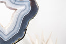 Blue and White Lace Agate Geode Portal with White Druzy Galaxy - E2D Crystals & Minerals