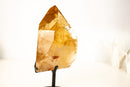 Large Natural Golden Honey Citrine Crystal Point - E2D Crystals & Minerals