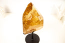 Large Natural Golden Honey Citrine Crystal Point - E2D Crystals & Minerals