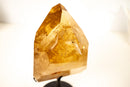 Large Natural Golden Honey Citrine Crystal Point - E2D Crystals & Minerals
