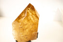 Large Natural Golden Honey Citrine Crystal Point - E2D Crystals & Minerals