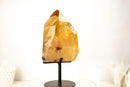 Large Natural Golden Honey Citrine Crystal Point - E2D Crystals & Minerals