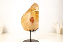 Natural Golden Honey Citrine Crystal Point with Tourmaline Inclusion - E2D Crystals & Minerals