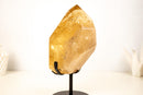 Natural Golden Honey Citrine Crystal Point with Tourmaline Inclusion - E2D Crystals & Minerals