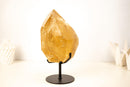 Natural Golden Honey Citrine Crystal Point with Tourmaline Inclusion - E2D Crystals & Minerals