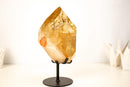 Natural Golden Honey Citrine Crystal Point with Tourmaline Inclusion - E2D Crystals & Minerals