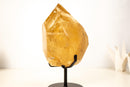 Natural Golden Honey Citrine Crystal Point with Tourmaline Inclusion - E2D Crystals & Minerals