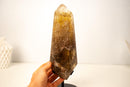 Rare Natural Citrine with Graphite Rutile Obelisk Tower - E2D Crystals & Minerals