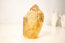Genuine Golden Honey Citrine Crystal Point - E2D Crystals & Minerals