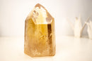Natural Golden Orange Citrine Obelisk Tower with Graphite Rutile Inclusions - E2D Crystals & Minerals