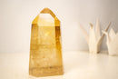 AAA - Grade Golden Honey Citrine Obelisk with Graphite Rutile Inclusions - E2D Crystals & Minerals