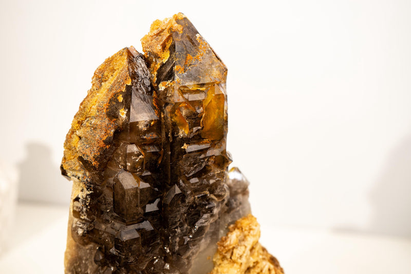 Rare Elestial Alligator Quartz Cluster on Feldspar & Quartz Matrix - E2D Crystals & Minerals