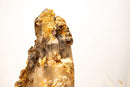 Rare Elestial Alligator Quartz Cluster on Feldspar & Quartz Matrix - E2D Crystals & Minerals