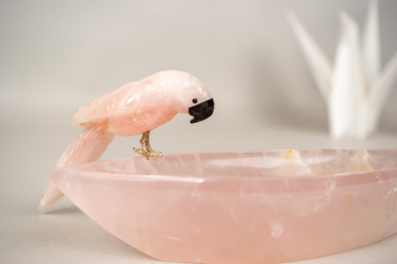 Delicate Hand - Carved Rose Quartz Crystal Parrots on Decorative Bowl - E2D Crystals & Minerals