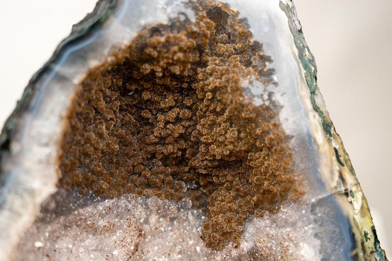 Collector’s Bi - Color Agate Geode with Sparkly Sugar Druzy and Rare White Amethyst - E2D Crystals & Minerals