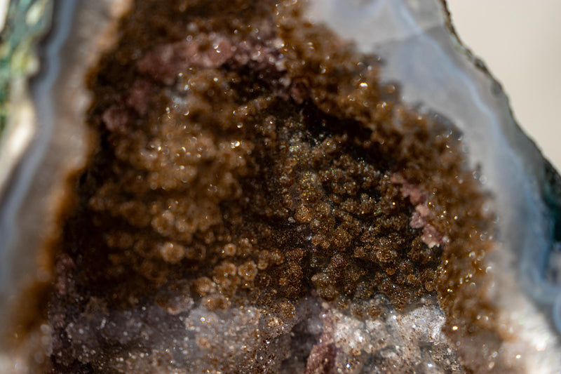 Collector’s Bi - Color Agate Geode with Sparkly Sugar Druzy & Rare White Amethyst - E2D Crystals & Minerals