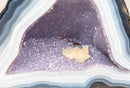 Rare Intact Blue & White Lace Agate Geode with Violet Druzy - E2D Crystals & Minerals