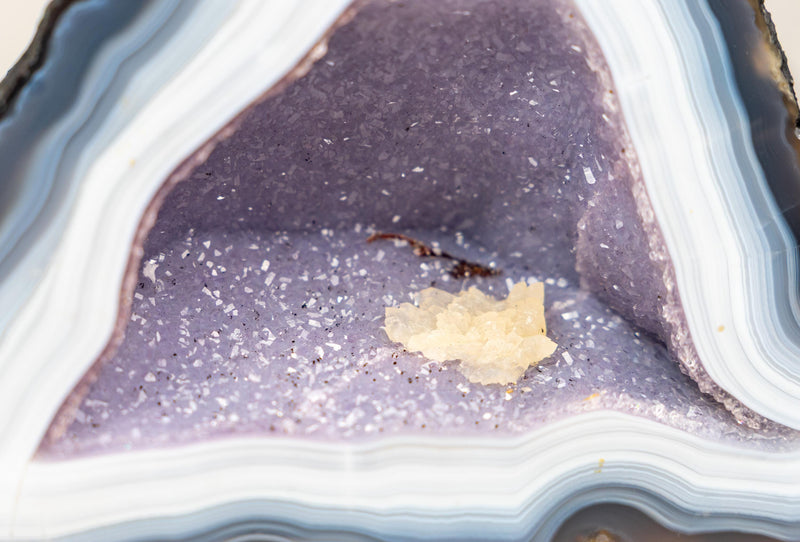 Rare Intact Blue & White Lace Agate Geode with Violet Druzy - E2D Crystals & Minerals