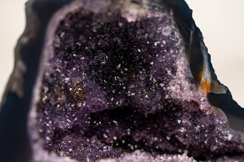 Small Amethyst Geode Cave with Galaxy Druzy and Golden Goethite Inclusions - E2D Crystals & Minerals