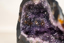 Small Amethyst Geode Cave with Galaxy Druzy and Golden Goethite Inclusions - E2D Crystals & Minerals