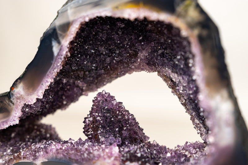 Rare Amethyst Geode with Calcite Crystal Formation Covered in Galaxy Druzy - E2D Crystals & Minerals