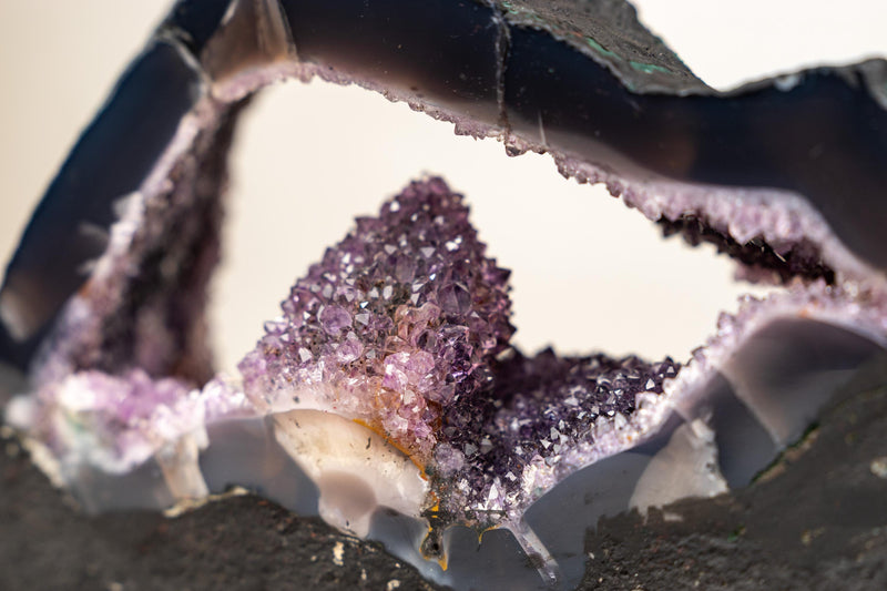 Rare Amethyst Geode with Calcite Crystal Formation Covered in Galaxy Druzy - E2D Crystals & Minerals