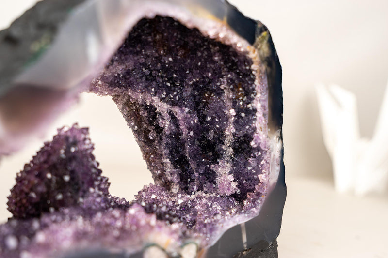 Rare Amethyst Geode with Calcite Crystal Formation Covered in Galaxy Druzy - E2D Crystals & Minerals