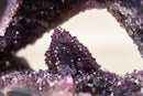Rare Amethyst Geode with Calcite Crystal Formation Covered in Galaxy Druzy - E2D Crystals & Minerals