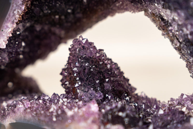 Rare Amethyst Geode with Calcite Crystal Formation Covered in Galaxy Druzy - E2D Crystals & Minerals