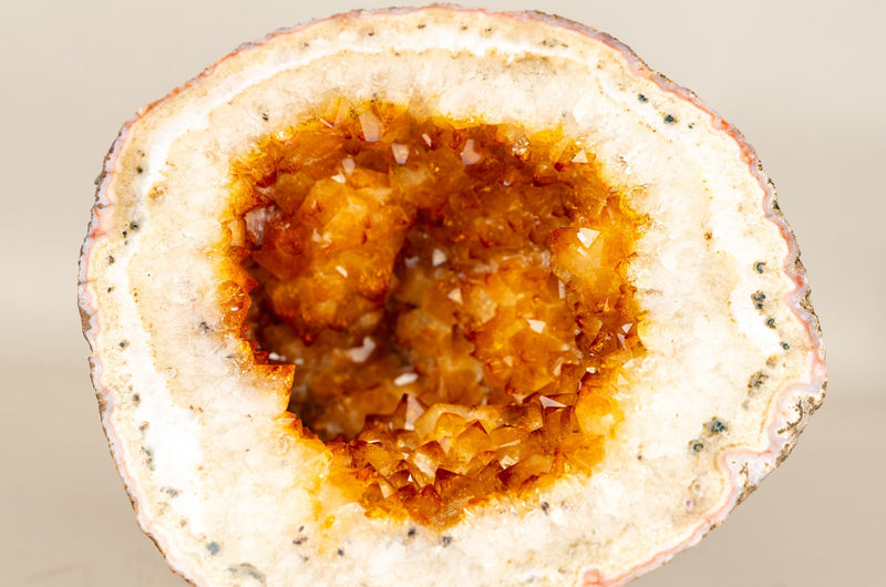Natural Citrine Geode Cave with Golden - Orange Druzy & Flower Rosettes - E2D Crystals & Minerals