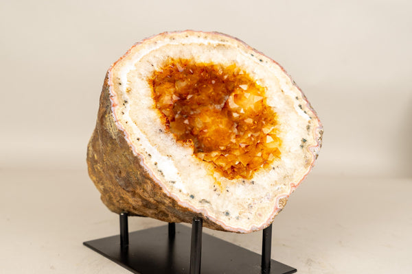 Natural Citrine Geode Cave with Golden - Orange Druzy & Flower Rosettes - E2D Crystals & Minerals