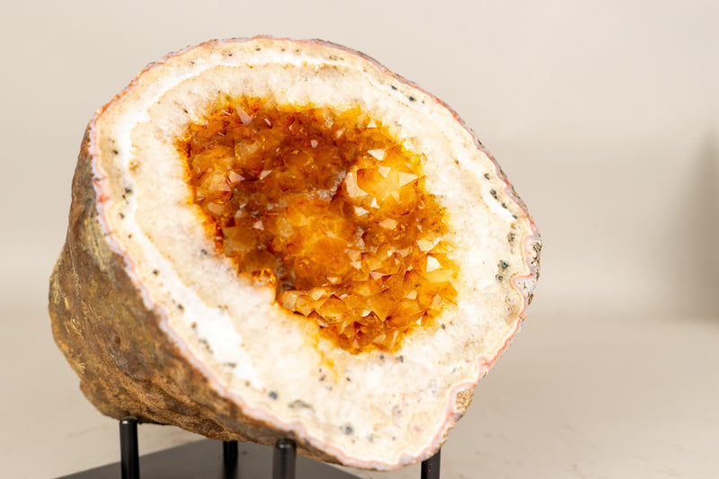 Natural Citrine Geode Cave with Golden - Orange Druzy & Flower Rosettes - E2D Crystals & Minerals
