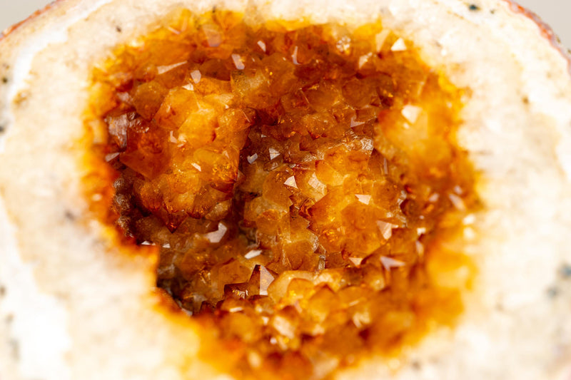 Natural Citrine Geode Cave with Golden - Orange Druzy & Flower Rosettes - E2D Crystals & Minerals
