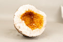 All - Natural Small Citrine Geode Cave with Sparkly Orange Citrine - E2D Crystals & Minerals