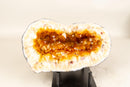 Natural Citrine Geode Cave with Golden Orange Citrine Points - E2D Crystals & Minerals
