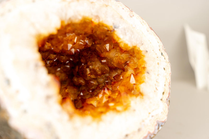 Natural Citrine Geode Cave with Golden - Orange Druzy on Quartz Frame - E2D Crystals & Minerals