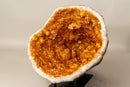 All - Natural Citrine Geode Cave with Vibrant, Sparkly Orange Points - E2D Crystals & Minerals