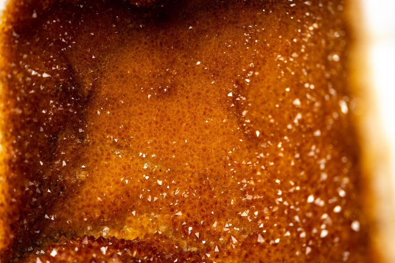 All - Natural Citrine Geode Cave with Rare Galaxy Druzy and Vibrant Color - E2D Crystals & Minerals