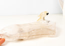 Hand - Carved Crystal Parrot on a Clear Quartz Bowl - E2D Crystals & Minerals